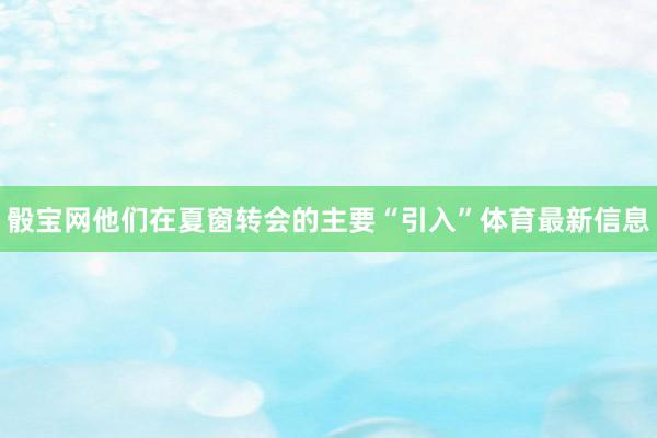 骰宝网他们在夏窗转会的主要“引入”体育最新信息