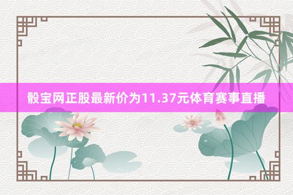 骰宝网正股最新价为11.37元体育赛事直播