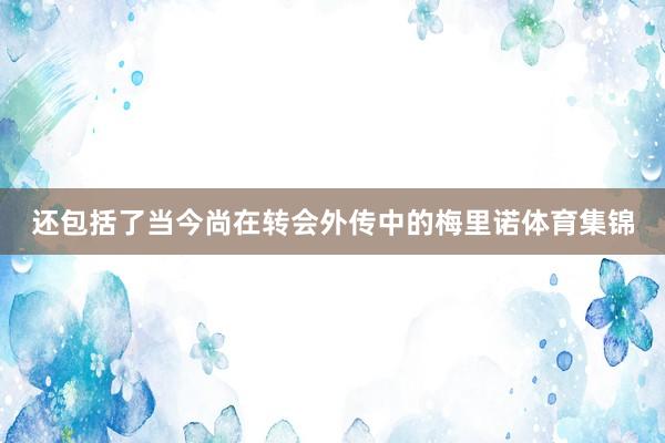 还包括了当今尚在转会外传中的梅里诺体育集锦