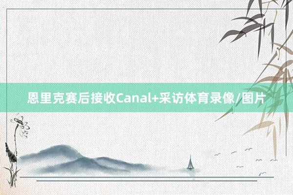 恩里克赛后接收Canal+采访体育录像/图片