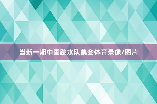 当新一期中国跳水队集会体育录像/图片