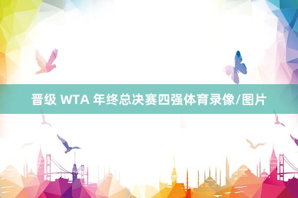 晋级 WTA 年终总决赛四强体育录像/图片